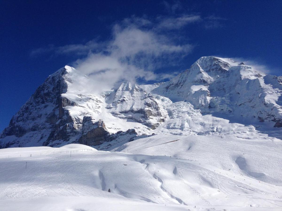 Albergue Schutzenbach Backpackers For Adults 18-34 Years Only *