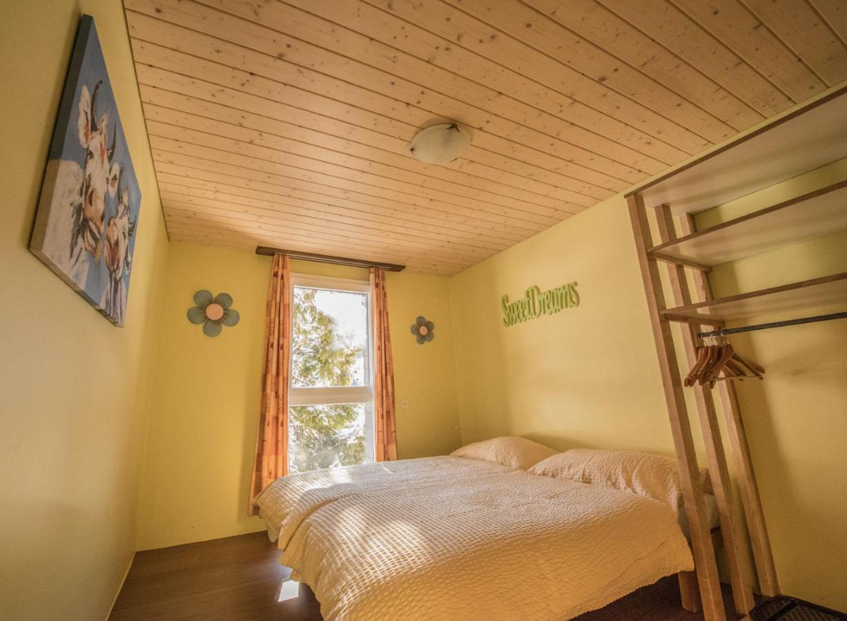 Albergue Schutzenbach Backpackers For Adults 18-34 Years Only
