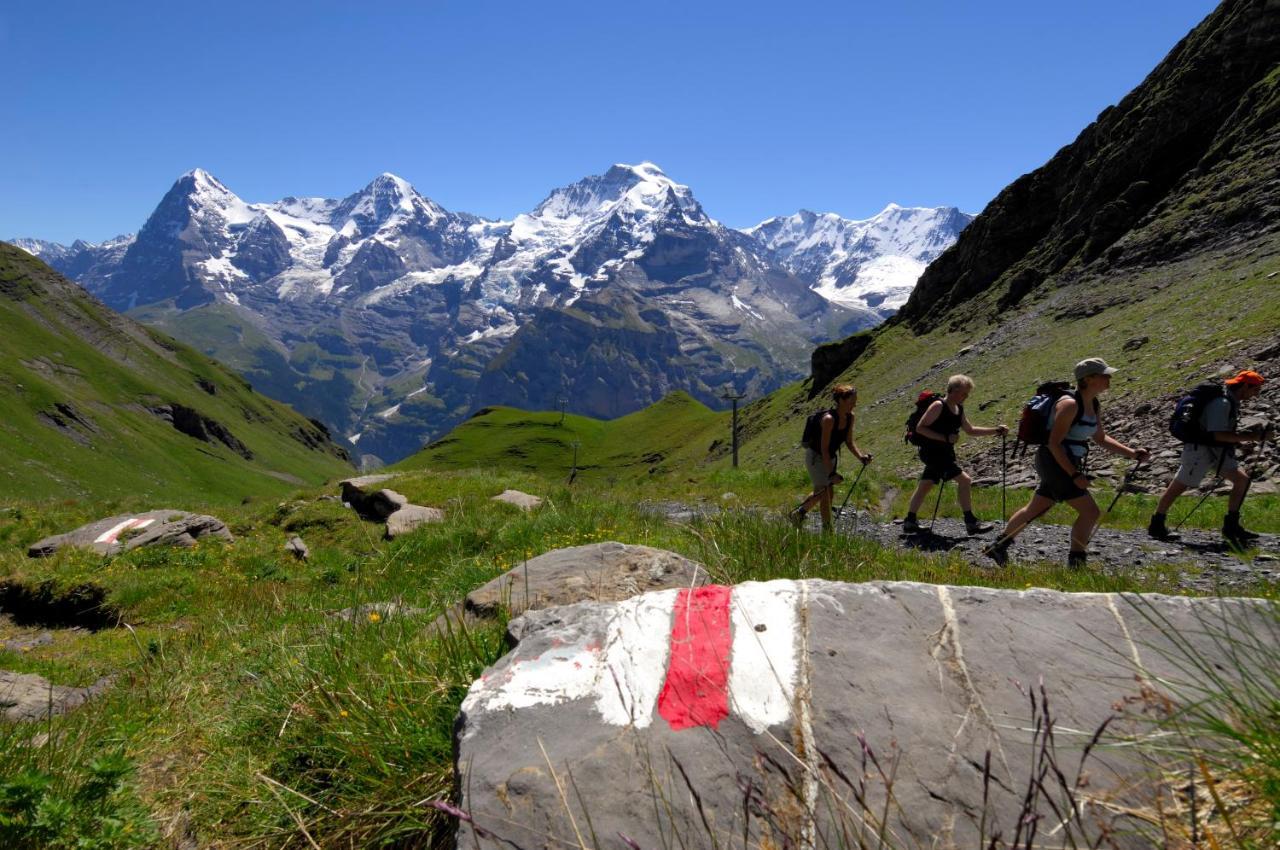 Schutzenbach Backpackers For Adults 18-34 Years Only Lauterbrunnen