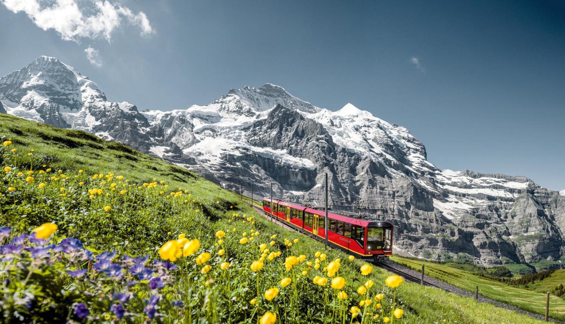 Schutzenbach Backpackers For Adults 18-34 Years Only Albergue *